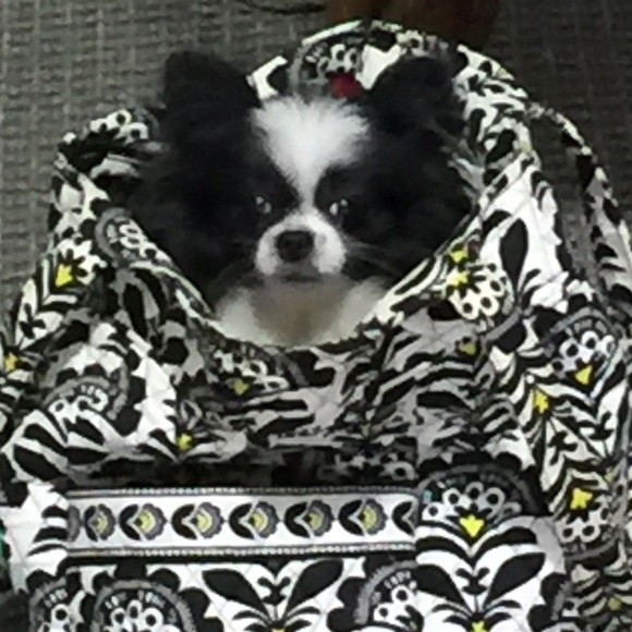 Meet your Posher, Helena - Picture 1 of 1